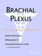 Cover of Brachial Plexus