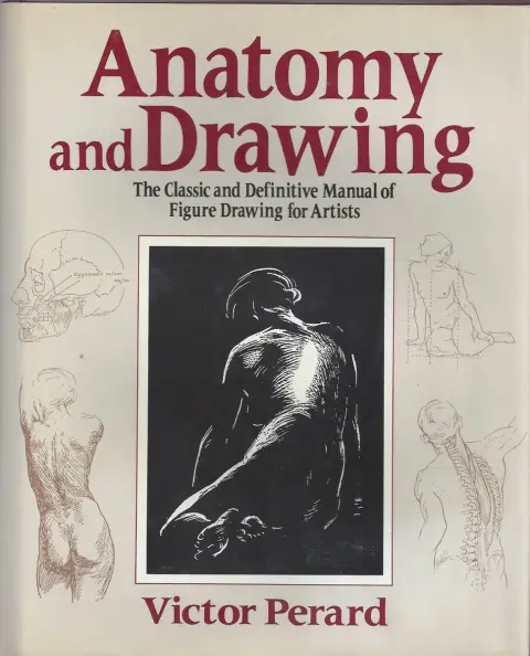 Cover of Anatomy and Drawing