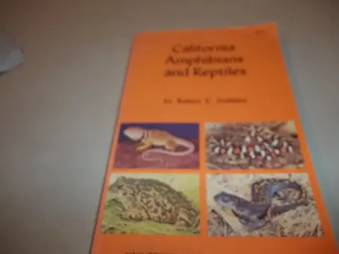 Cover of Stebbins