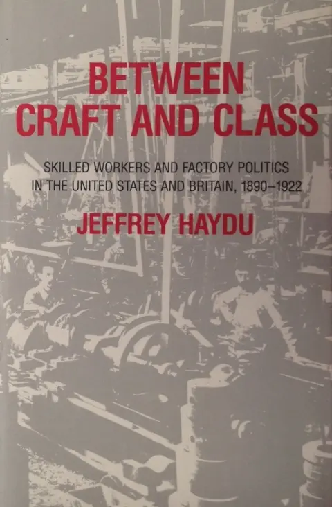 Cover of Hadyu