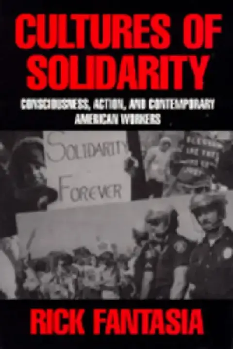 Cover of Cultures of Solidarity