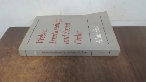 Cover of Weber and Irrationality–S
