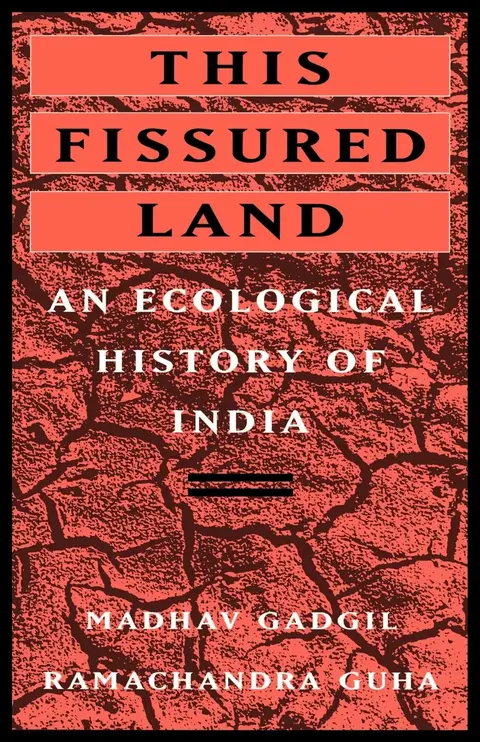 Cover of This Fissured Land