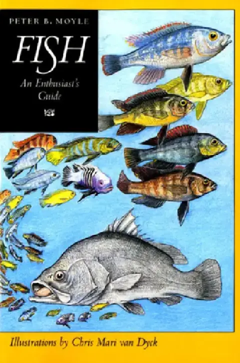 Cover of Fish