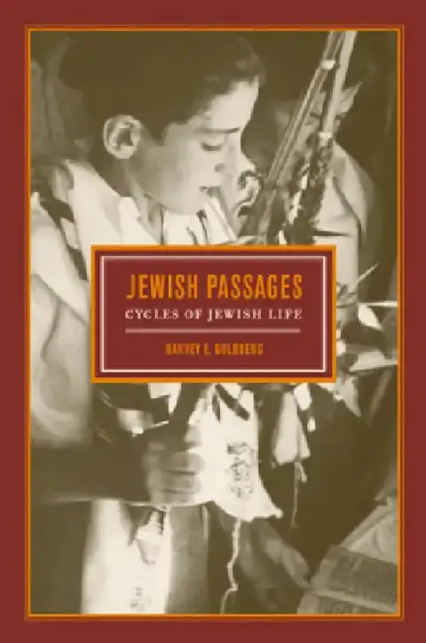 Cover of Jewish Passages