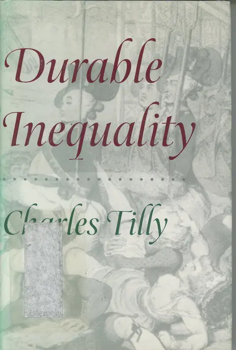 Cover of Durable Inequality