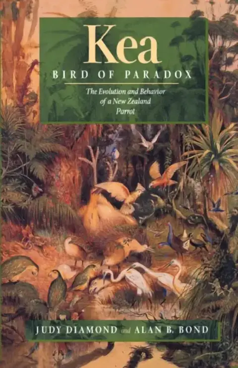 Cover of Kea, Bird of Paradox