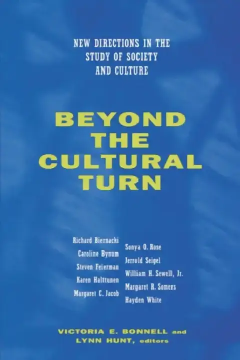 Cover of Beyond the Cultural Turn