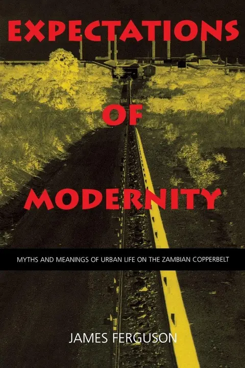 Cover of Expectations of Modernity