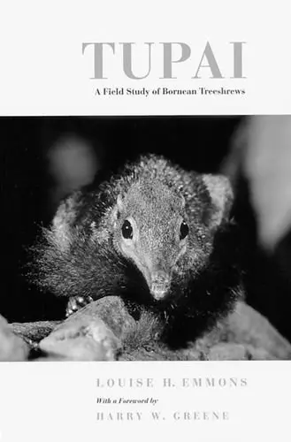 Cover of Tupai