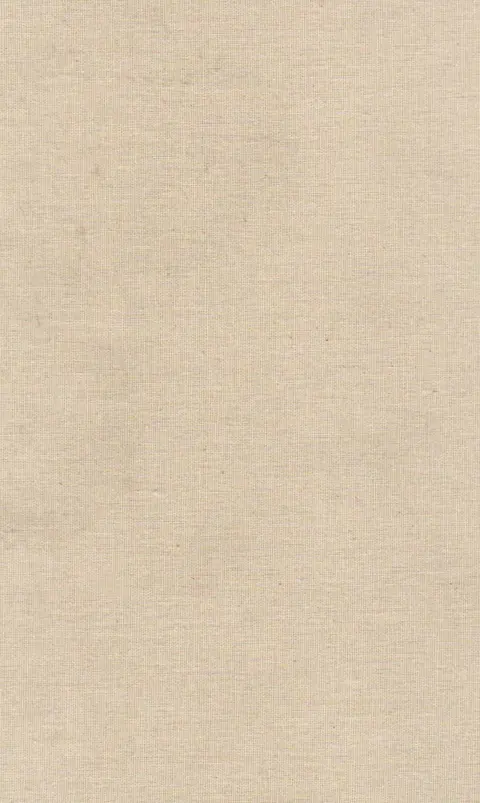 Cover of Twice Dead