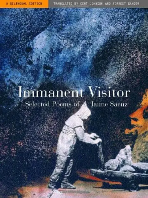 Cover of Immanent Visitor