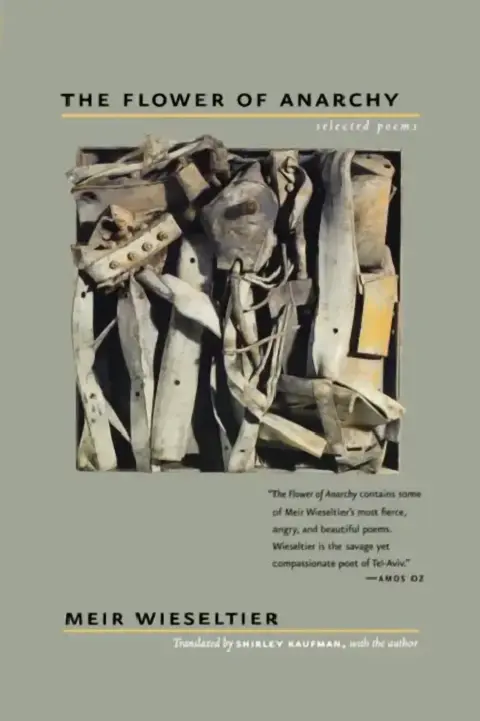 Cover of The Flower of Anarchy
