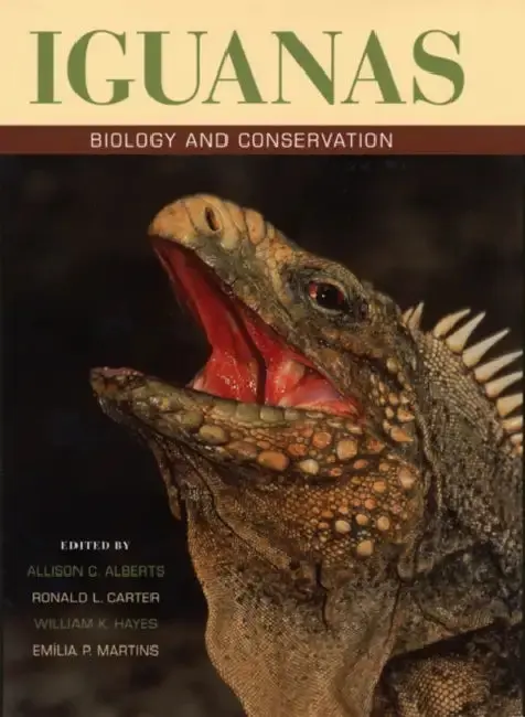 Cover of Iguanas