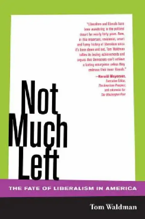 Cover of Not Much Left