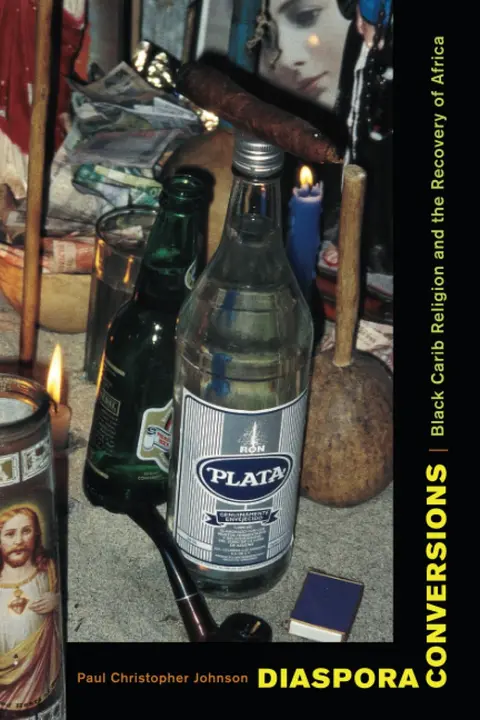 Cover of Diaspora Conversions