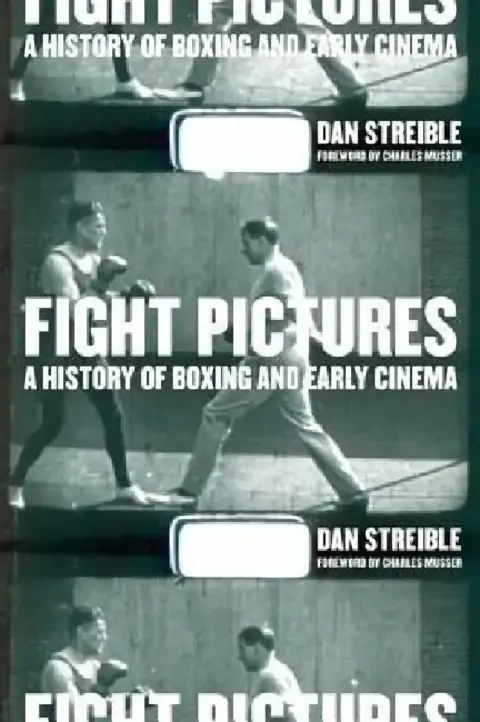 Cover of Fight Pictures