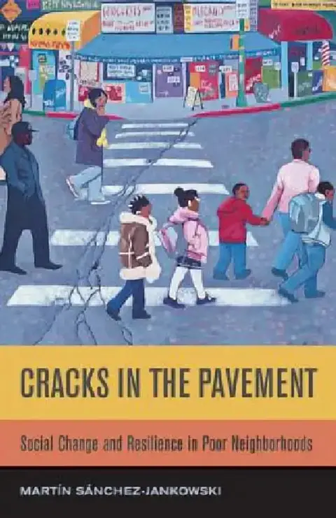 Cover of Cracks in the Pavement