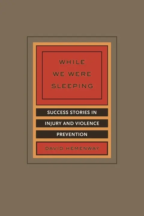 Cover of While We Were Sleeping