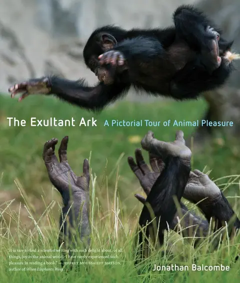 Cover of The Exultant Ark