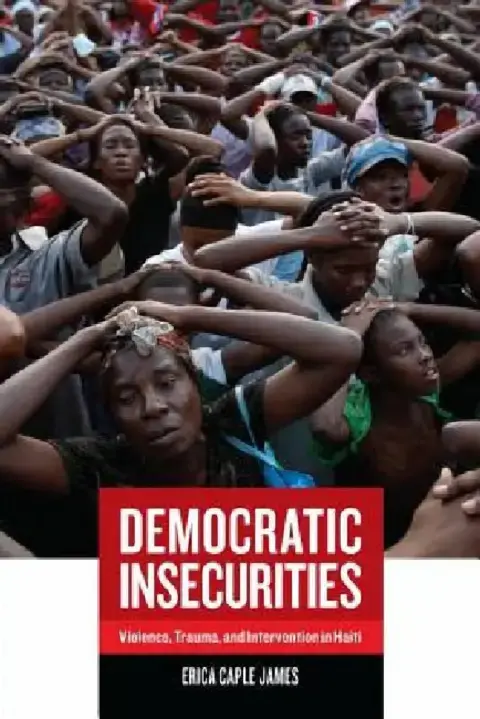 Cover of Democratic Insecurities