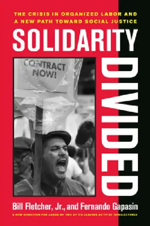 Cover of Solidarity Divided