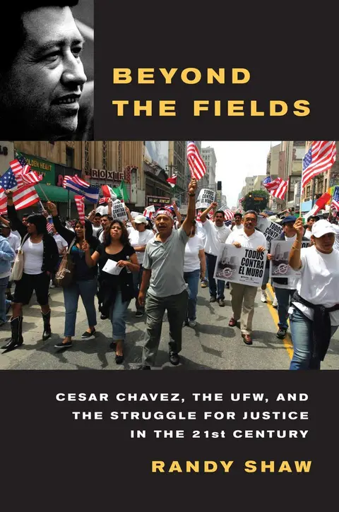 Cover of Beyond the Fields