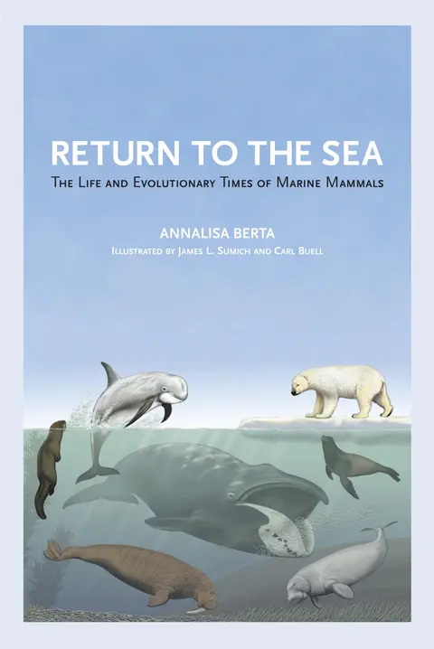 Cover of Return to the Sea