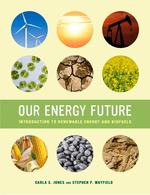 Cover of Our Energy Future