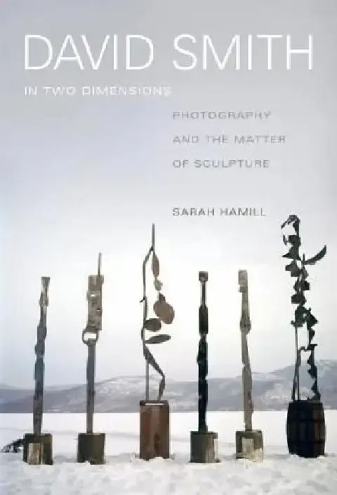 Cover of David Smith in Two Dimensions