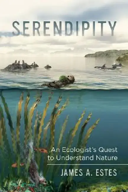 Cover of Serendipity