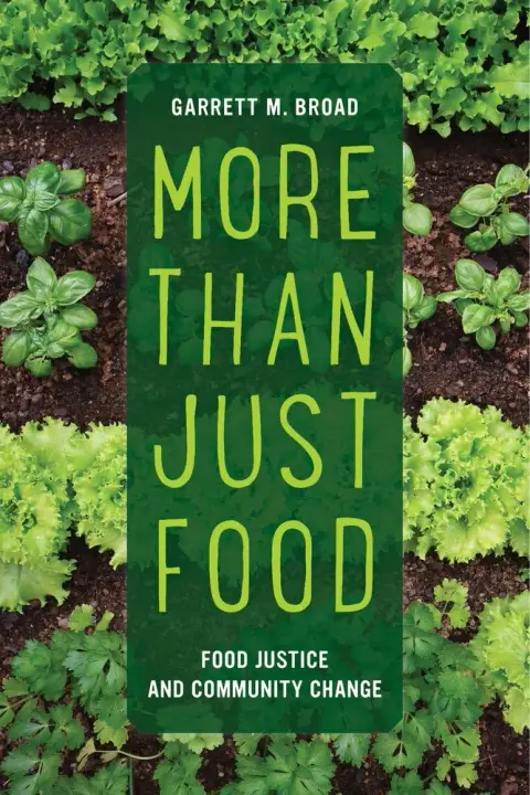 Cover of More Than Just Food