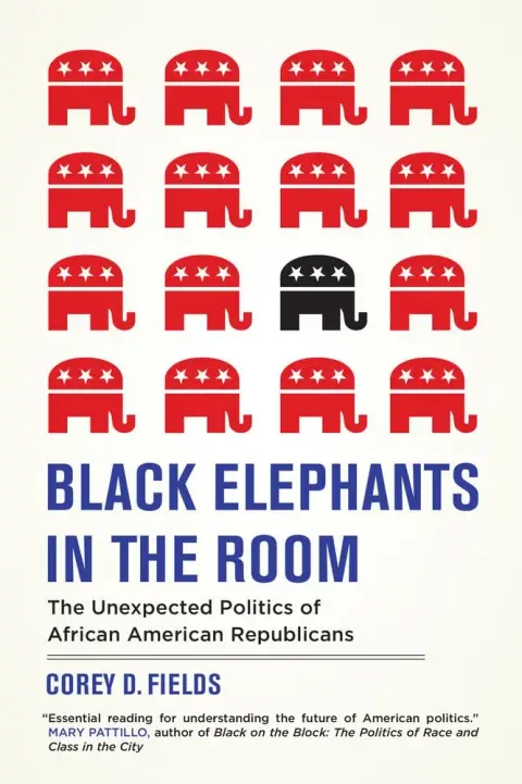 Cover of Black Elephants in the Room