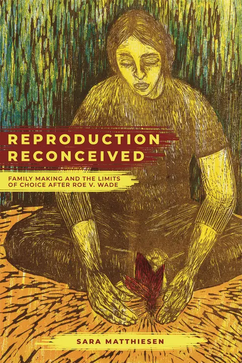 Cover of Reproduction Reconceived