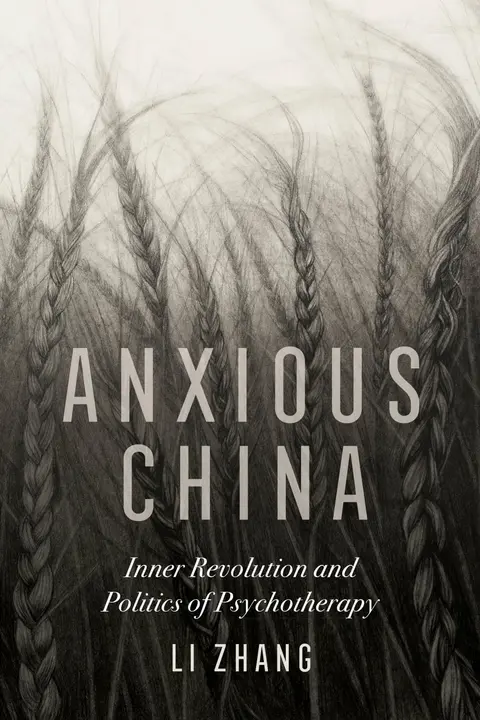 Cover of Anxious China