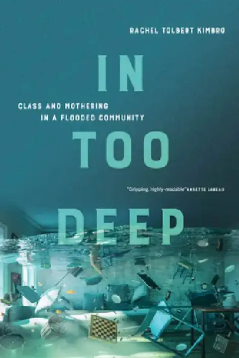 Cover of In Too Deep