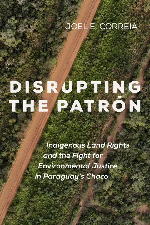 Cover of Disrupting the Patrón