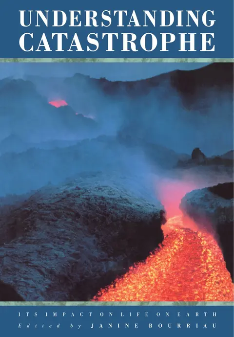 Cover of Understanding Catastrophe