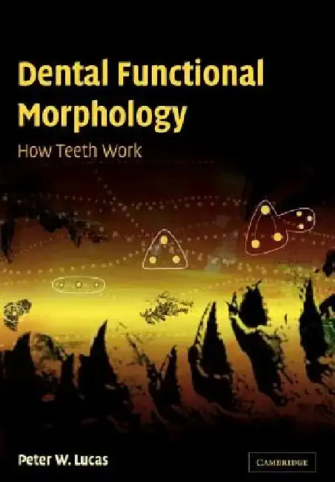 Cover of Dental Functional Morphology