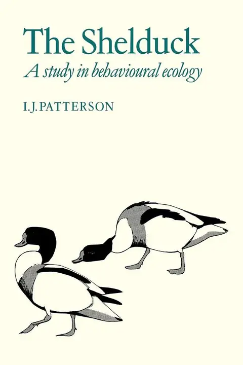 Cover of The Shelduck
