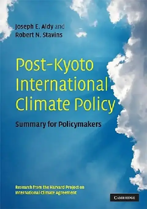 Cover of Post-Kyoto International Climate Policy