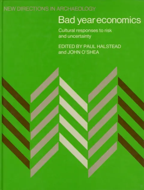 Cover of Bad Year Economics