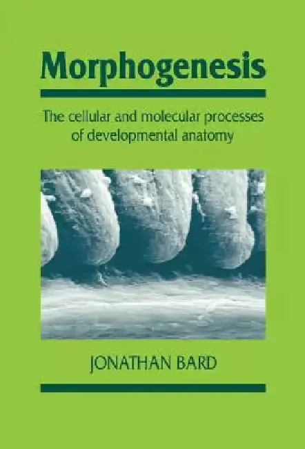 Cover of Morphogenesis