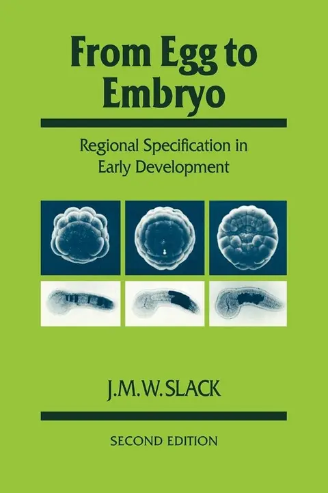 Cover of From Egg to Embryo