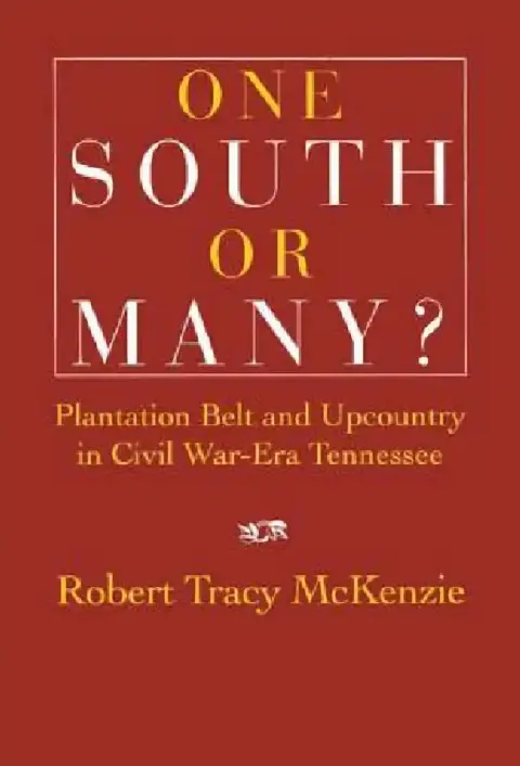 Cover of One South or Many?