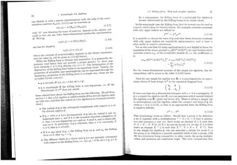 Cover of Affine Lie Algebras and Quantum Groups
