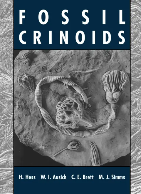 Cover of Fossil Crinoids