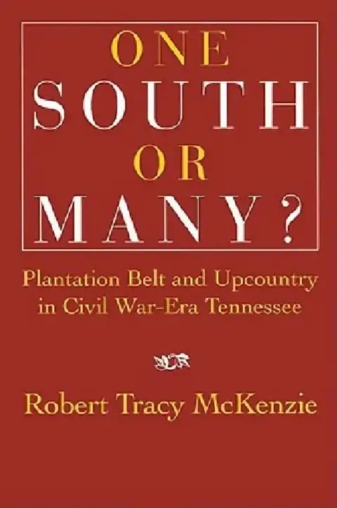 Cover of One South or Many?