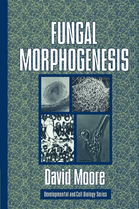 Cover of Fungal Morphogenesis