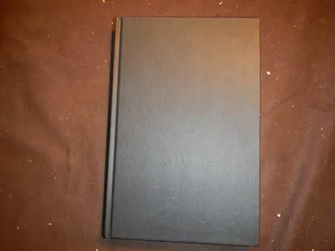 Cover of The Untouchables